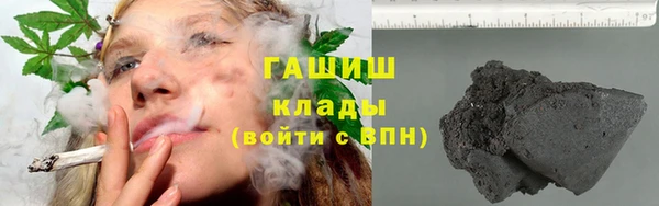 крисы Алзамай