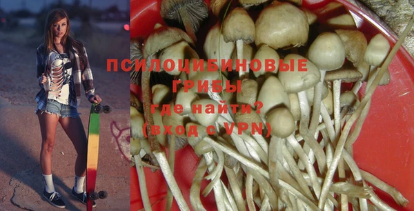 соль ск Абинск
