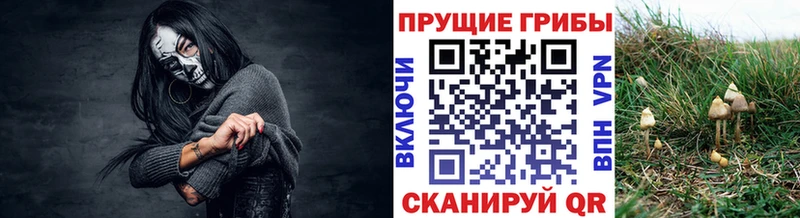 Галлюциногенные грибы MAGIC MUSHROOMS Вилючинск