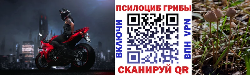 Псилоцибиновые грибы Psilocybe  цена наркотик  Вилючинск 